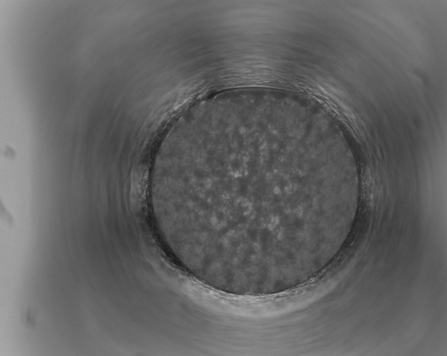 X0000091090030200708061647