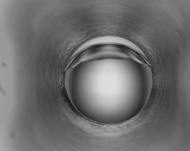 X0000091090031200708061647