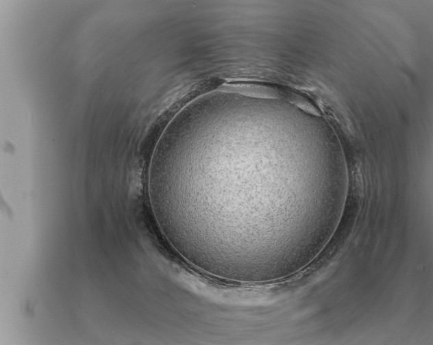 X0000091090032200708061647