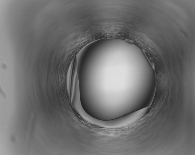 X0000091090033200708061646