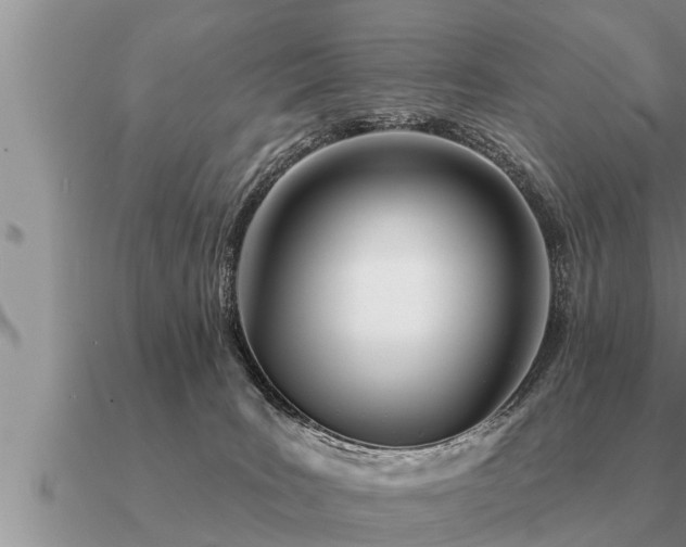 X0000091090035200708061646