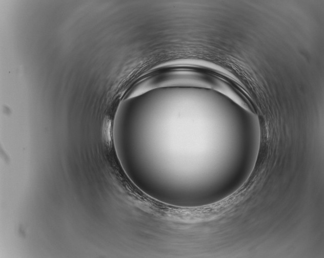 X0000091090041200708061646