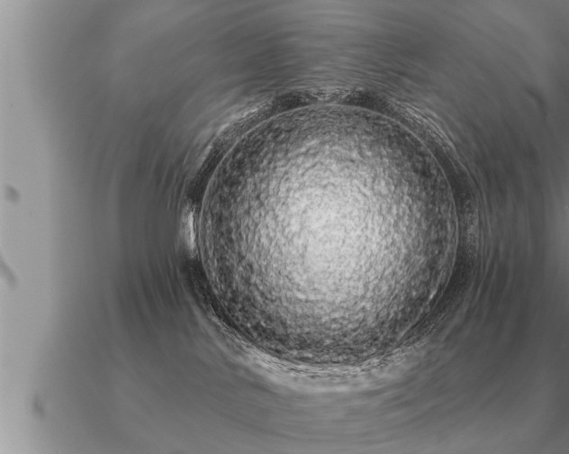 X0000091090042200708061646
