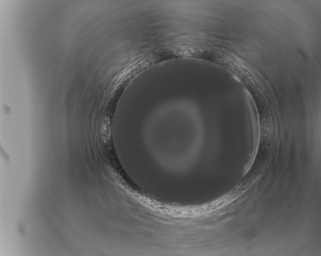 X0000091090043200708061646