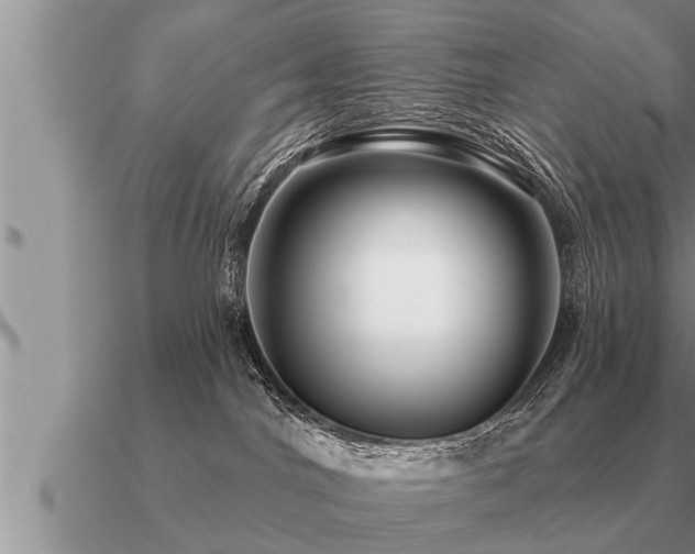 X0000091090044200708061646