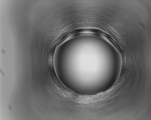 X0000091090045200708061646