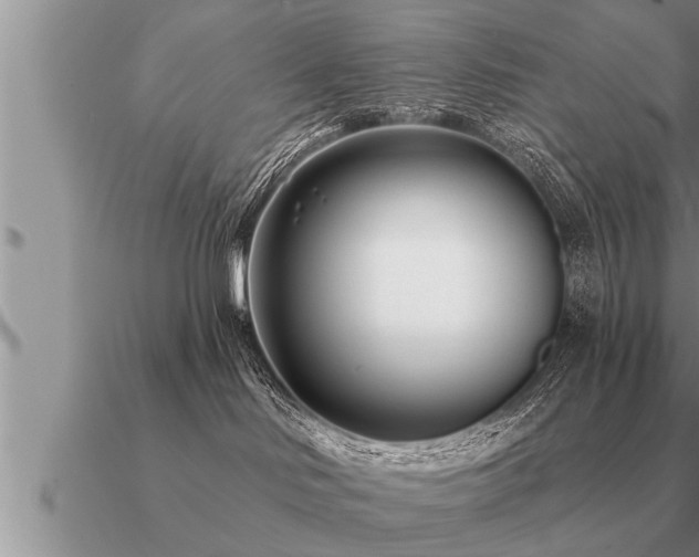 X0000091090046200708061646