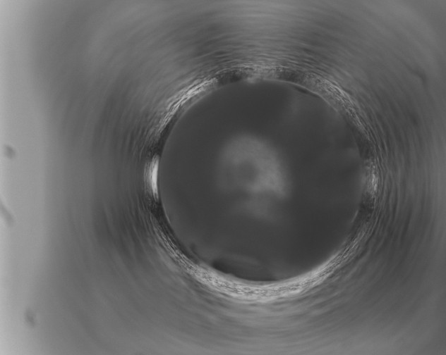 X0000091090047200708061646