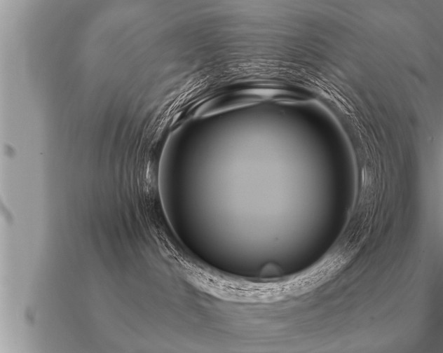 X0000091090048200708061646