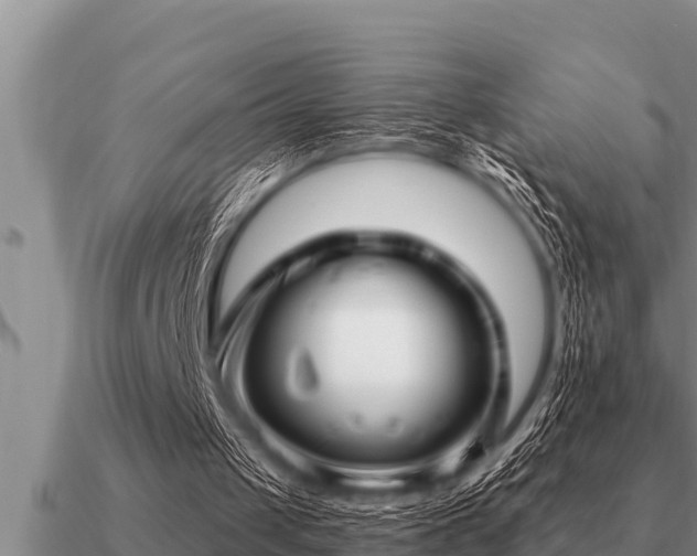 X0000091090049200708061646