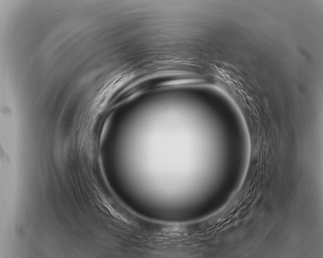 X0000091090050200708061646