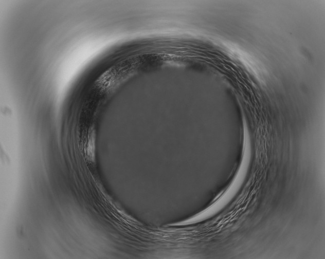 X0000091090052200708061646