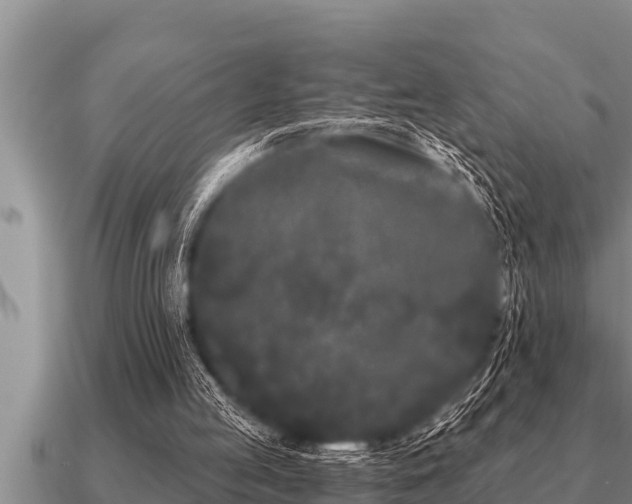 X0000091090053200708061646