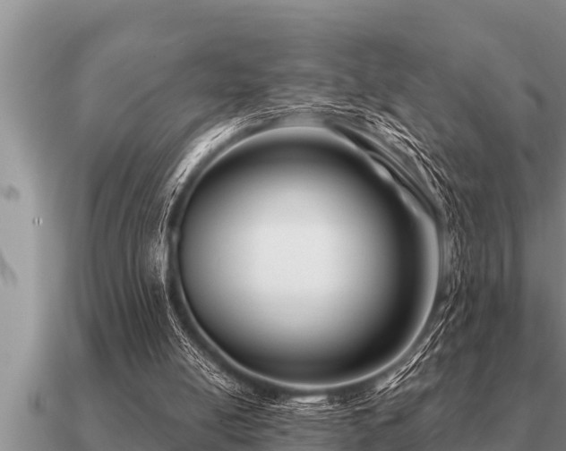 X0000091090054200708061646