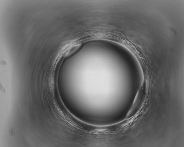 X0000091090055200708061646