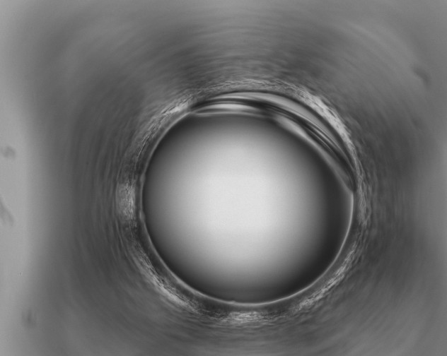 X0000091090057200708061646