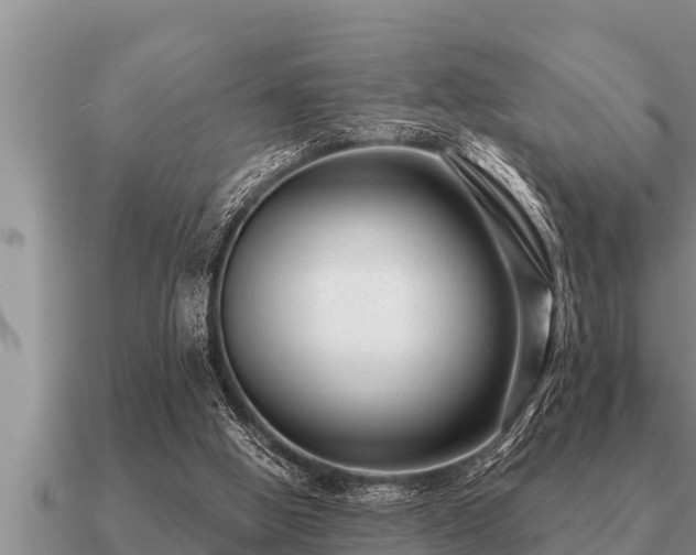 X0000091090058200708061646
