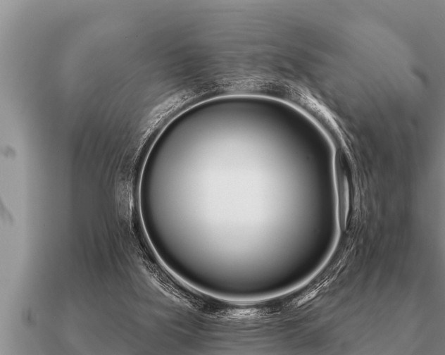 X0000091090059200708061646