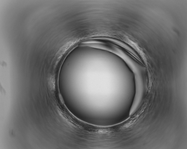 X0000091090060200708061646