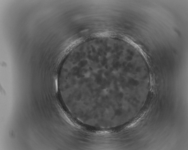X0000091090061200708061646