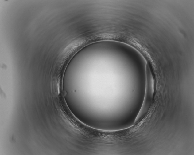 X0000091090062200708061646