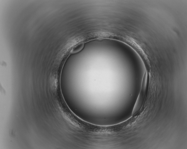 X0000091090063200708061646