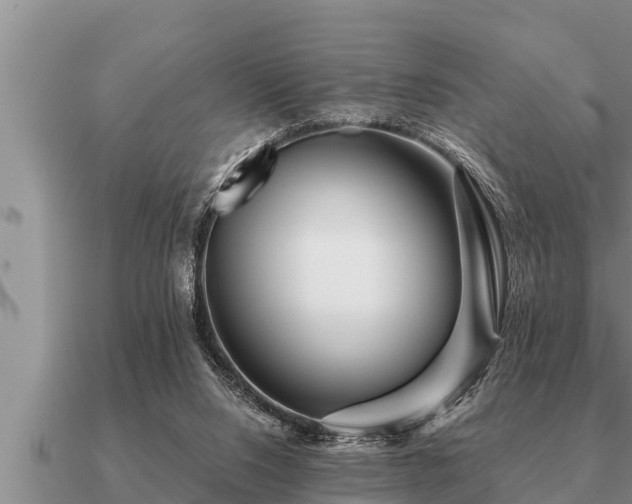X0000091090064200708061646