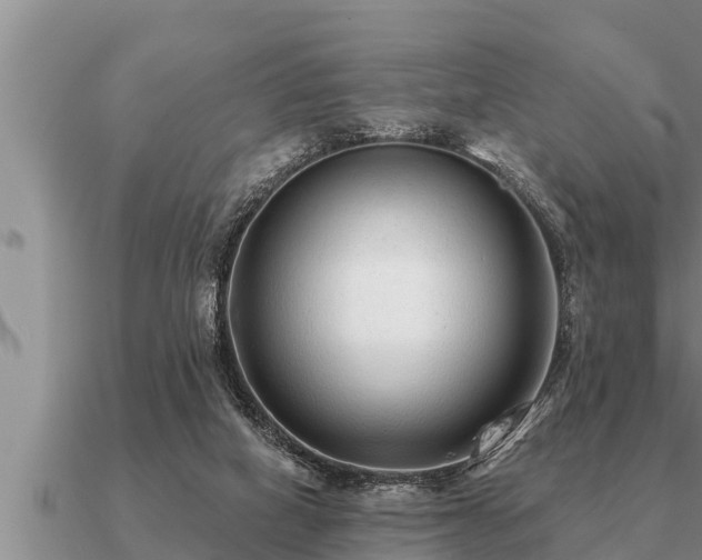 X0000091090066200708061646