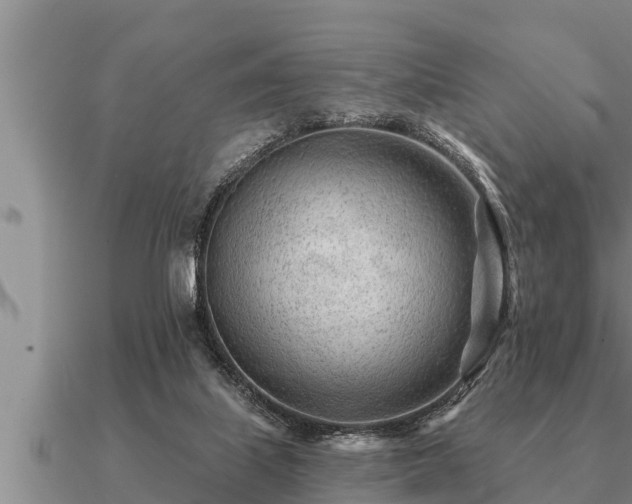 X0000091090067200708061646