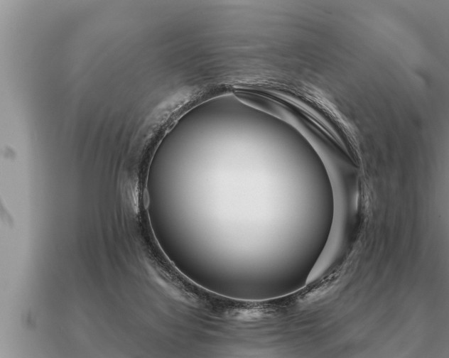 X0000091090068200708061646
