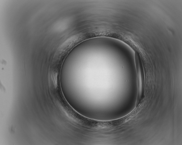 X0000091090070200708061646