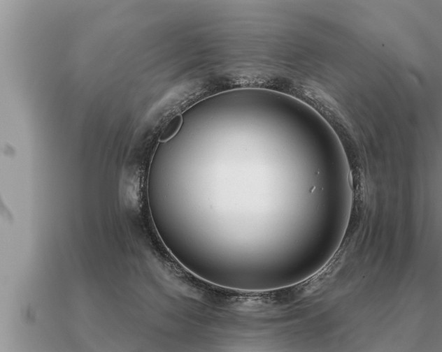 X0000091090074200708061646
