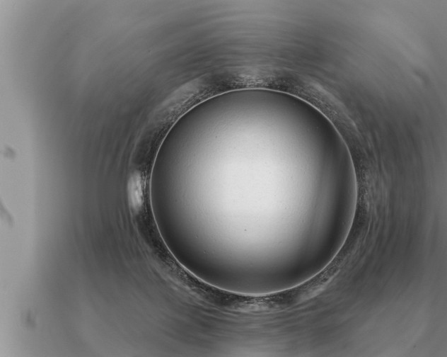 X0000091090075200708061646