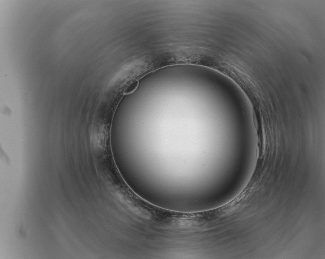 X0000091090078200708061646