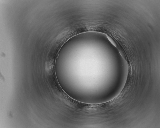 X0000091090082200708061646
