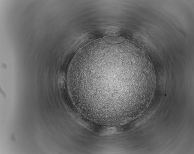 X0000091090083200708061646