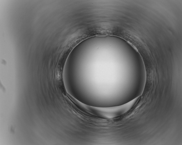 X0000091090084200708061646