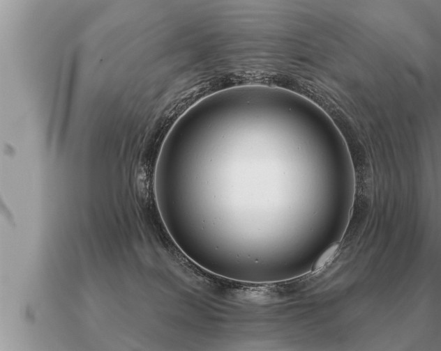 X0000091090086200708061646