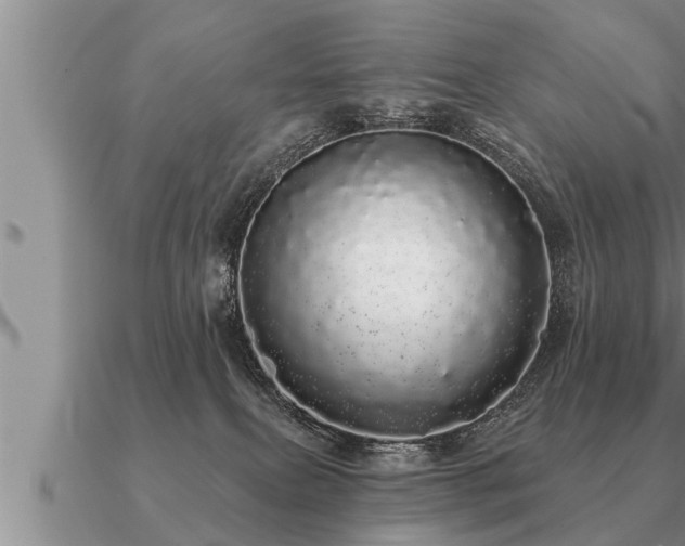 X0000091090087200708061646
