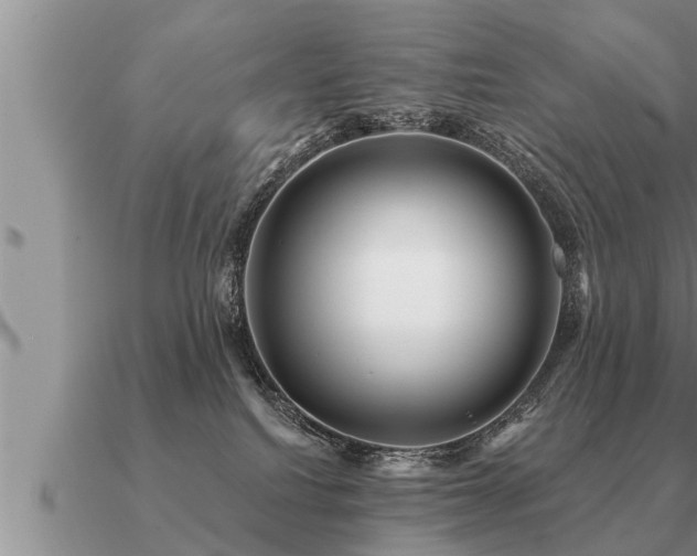 X0000091090088200708061646