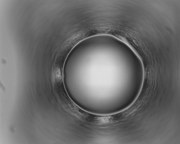 X0000091090089200708061646