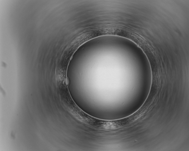 X0000091090091200708061646
