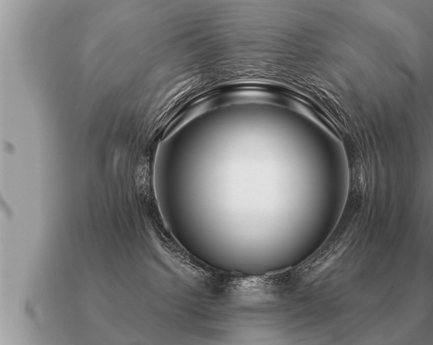 X0000091090092200708061646