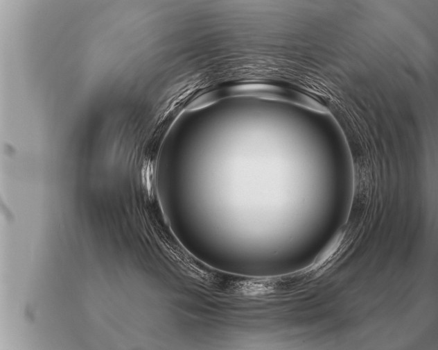 X0000091090094200708061646