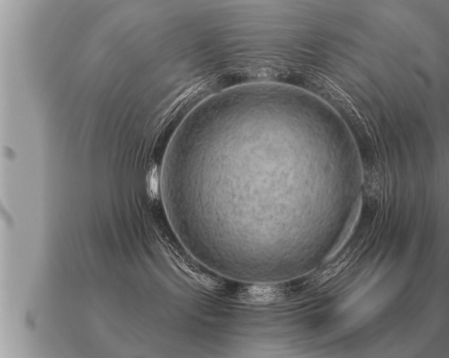 X0000091090095200708061646