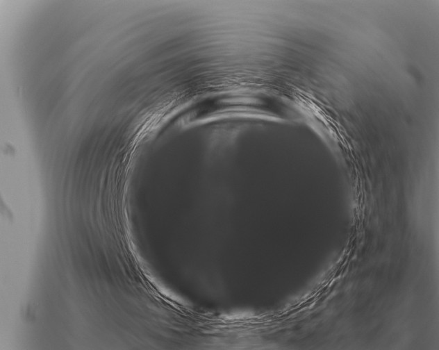 X0000091090097200708061646