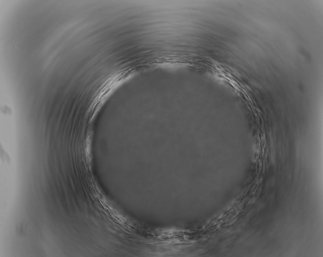 X0000091090098200708061646