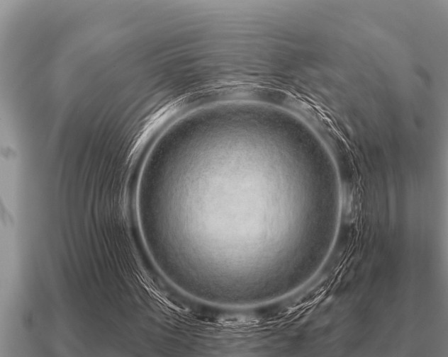 X0000091090099200708061646