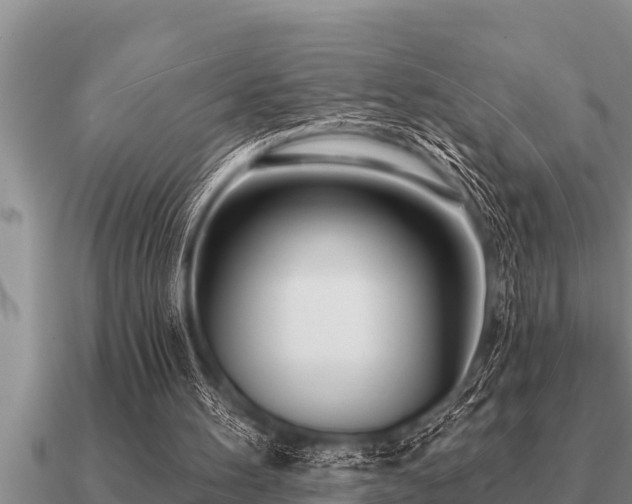 X0000091090100200708061646