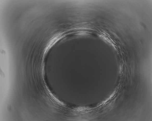 X0000091090101200708061646